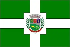 Bandeira de Catas Altas MG